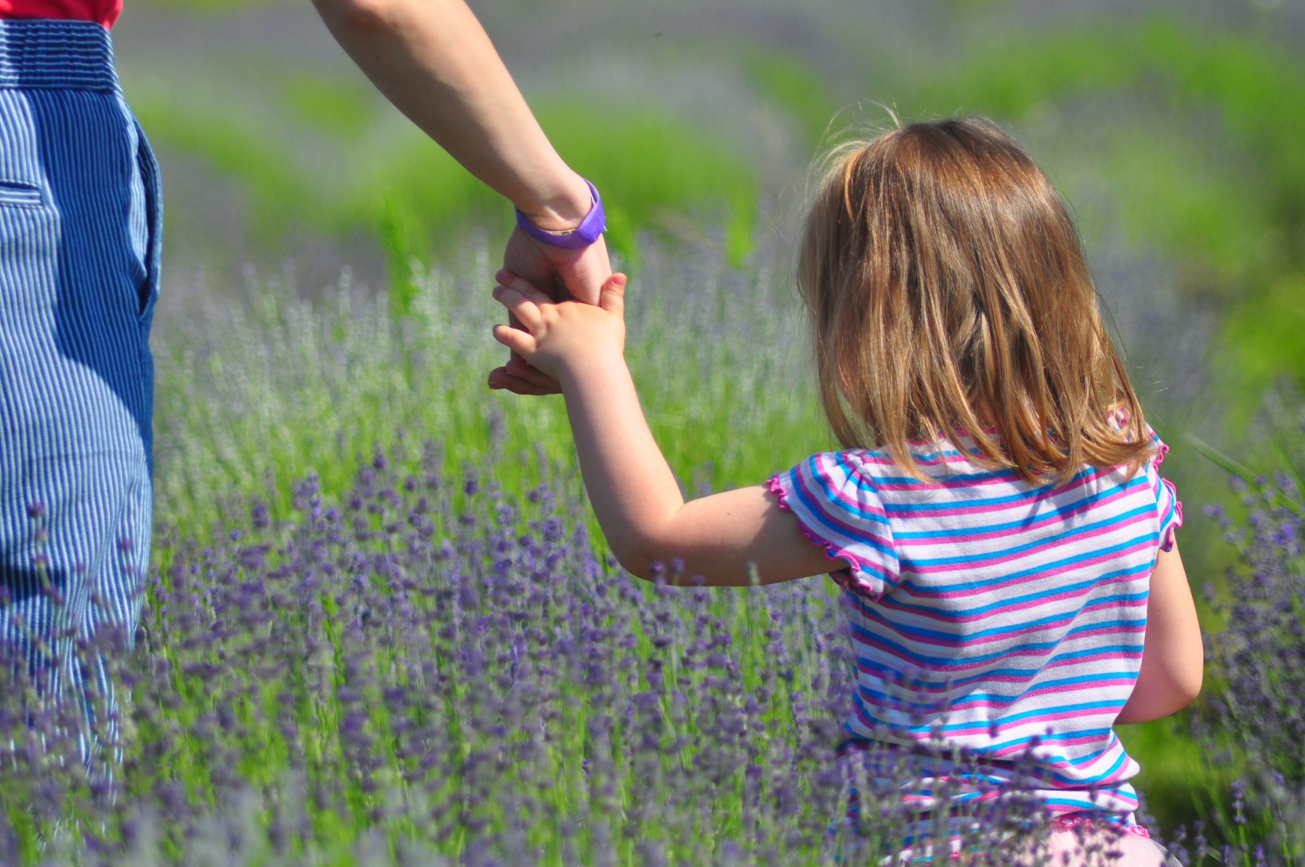 Am țipat la copilul meu și nu mi-a plăcut